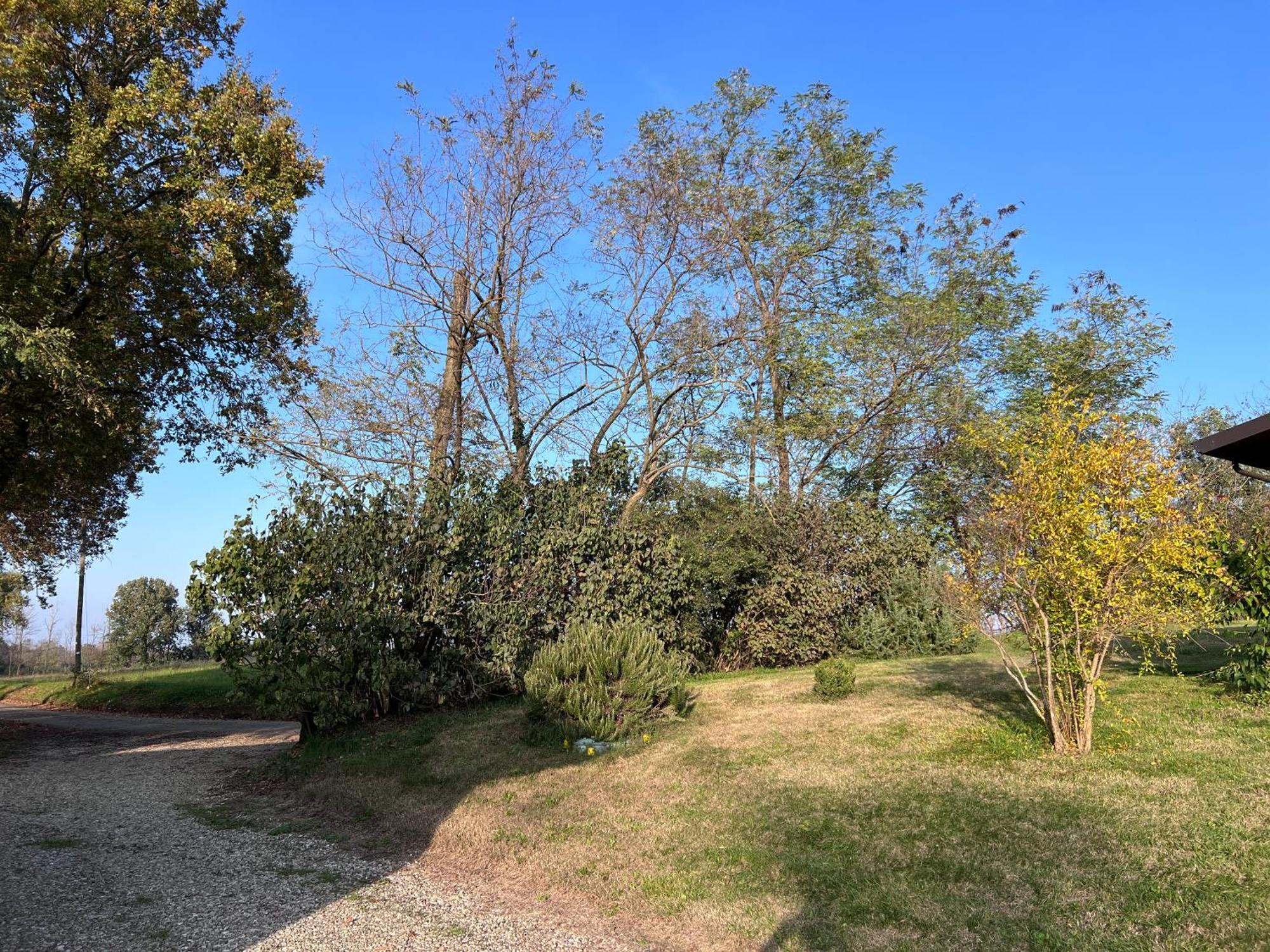 Al Vigneto Villa Vigolzone Exterior photo