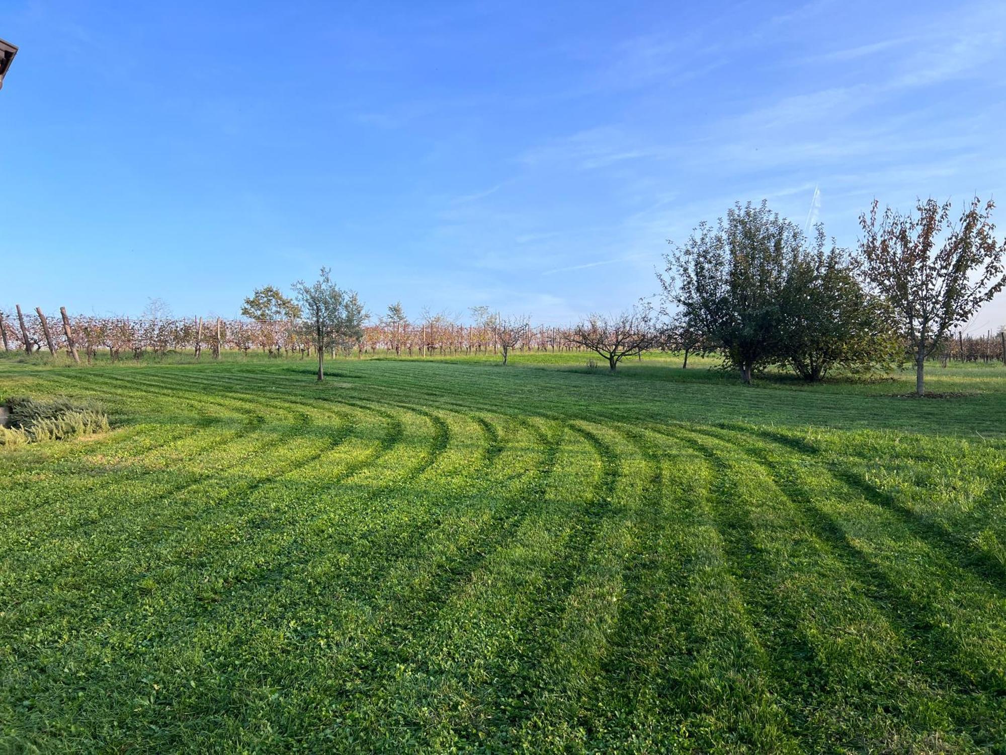 Al Vigneto Villa Vigolzone Exterior photo